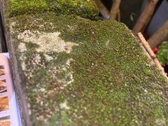 -鹅滋道(甘坑古镇店)