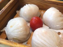 悦满楼虾饺皇-悦满楼·西关名点·湛江名菜(航空综合大厦店)