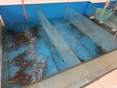 -崔记生活·铁锅炖鱼粘卷子(总店)