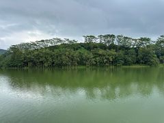 -凤岗南门山森林公园