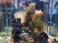 -太平洋海底世界