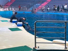 -福州罗源湾海洋世界旅游区