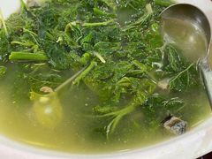 上汤桑叶-东鸽皇(奥园·中环广场店)