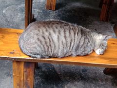 -老街杂酱面(东升街店)