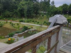 -东莞植物园