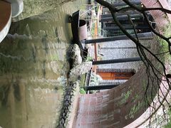 -鱼桥巷·美学川菜