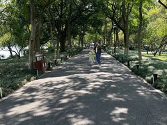 -西湖游船