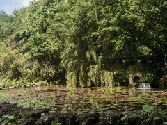 -海南热带野生动植物园