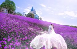 点击看大图 -青禾蒙娜丽莎婚纱摄影(武汉总店)