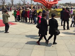 -金卉庄园