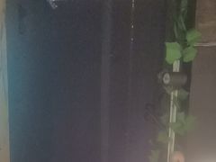 -烤满分·东北烧烤(首经贸店)