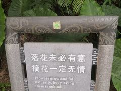 -广州市流溪河国家森林公园