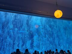 -南昌融创海世界