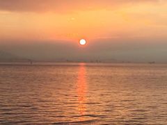 -演武大桥观景平台