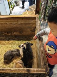 -酷嗒动物文化乐园(cutezoo西溪乐天城店)