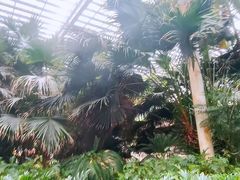 -龙达温泉生态城