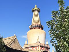 -张掖大佛寺景区