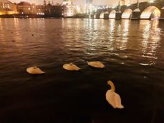 -Kampa Park Restaurant