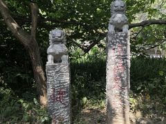 -紫金山山顶公园
