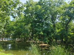 -长白岛森林公园