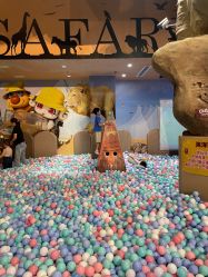 -卡通尼·Safari非洲探索乐园·生日会(金桥国际商业广场店)