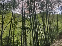 -千泷沟大瀑布旅游区