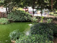 -九龙公园