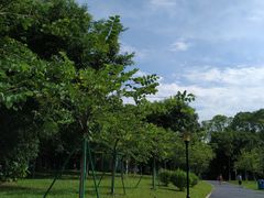 -东莞植物园