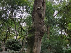 -绮园景区