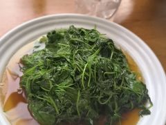 -海金滋(陕西南路店)