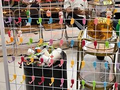-探鱼·鲜青椒爽麻烤鱼(正佳广场店)