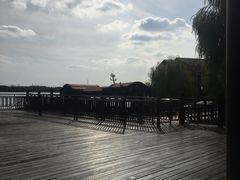-南湖湿地公园