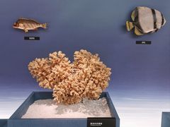 -中国湿地博物馆