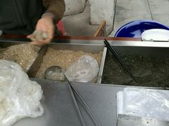 -叶氏麻糍(鼓浪屿店)