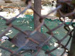 -陕西自然博物馆