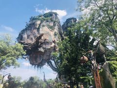 -奥兰多迪士尼动物王国乐园