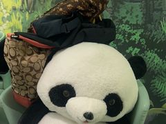 -眉州东坡·熊猫主题餐厅(枫蓝店)