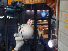 -line friends(明洞旗舰店)