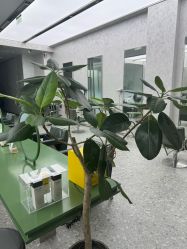 -简影造型·自选烫染接发salon