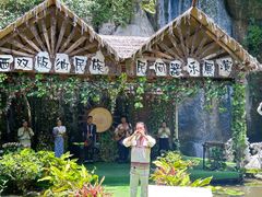 -西双版纳原始森林公园