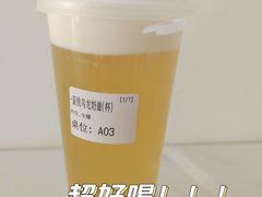 -鼓捣猫呢主题猫咖店