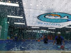 -Swim斯卫姆国际儿童游泳中心(红博中央公园店)