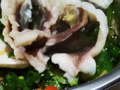 -港升鱼师傅·中山脆肉鲩