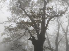 -终南山南五台景区