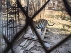 -昆明动物园