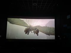 -寰映影城(大融城激光IMAX店)