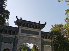 -顺峰山公园