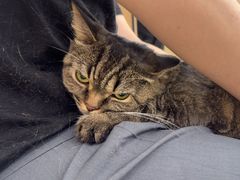 -瑞派康怡24h宠物医院·犬猫医疗中心·微创绝育(瑞景分院)