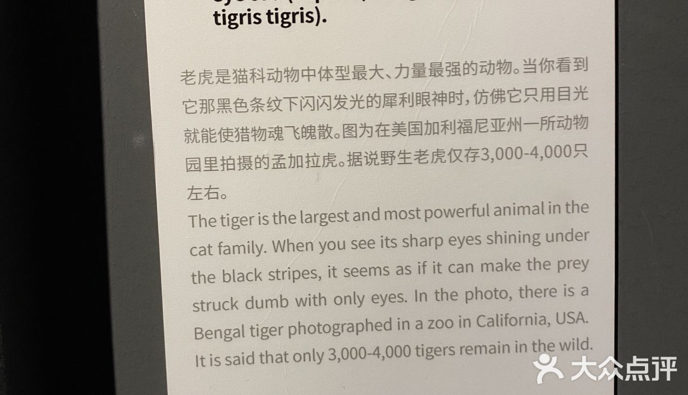 打卡·国家地理影像展