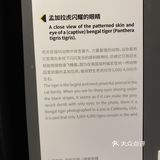 打卡·国家地理影像展